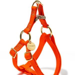 Found Orange size M Dog or Cat Harness